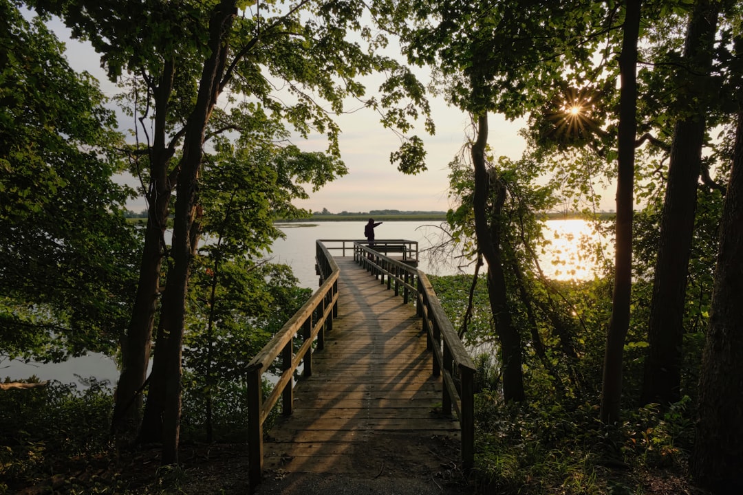 Quiet lakeside pier at golden hour